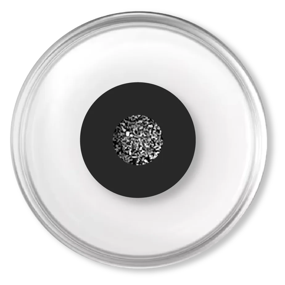 A MagFlex™ magneto-active substrate in a culture dish
